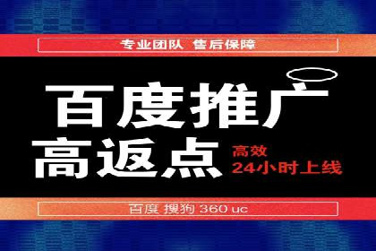 百度推广公司案例解析：如何利用大数据优化营销策略